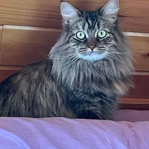 Meet your Posher, Regina